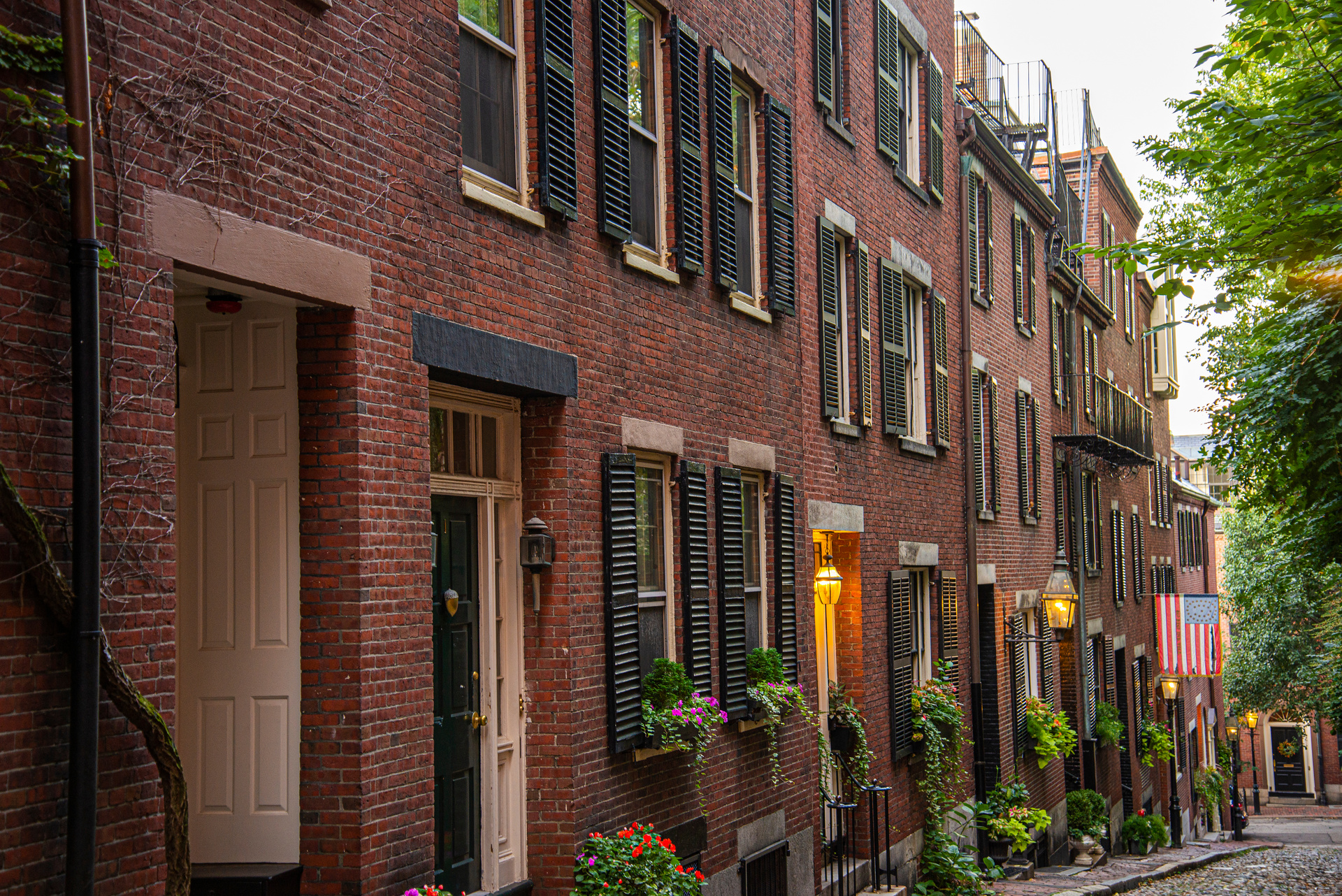 Acorn street